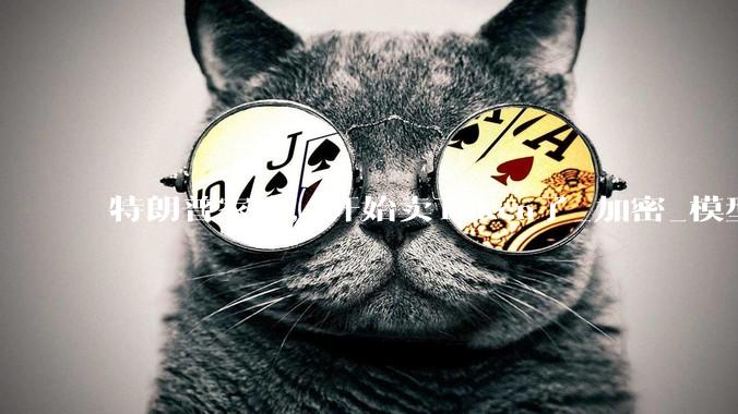 特朗普家族，开始卖Token了_加密_模型_货币