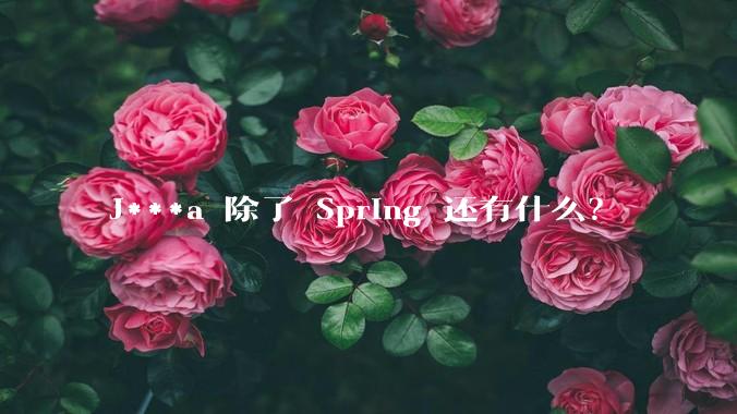 J***a 除了 Spring 还有什么？